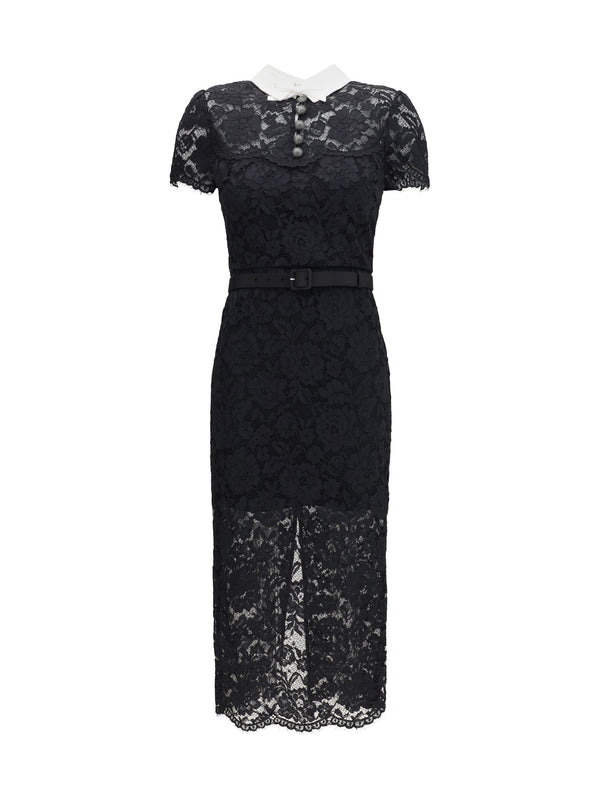 Lace Contrast Collar Midi Dress Black Polyester