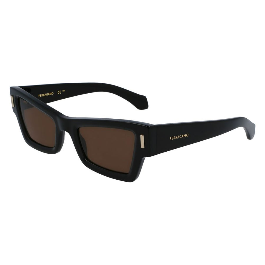 Ferragamo FESF2006S001AC Acetate sunglasses in black