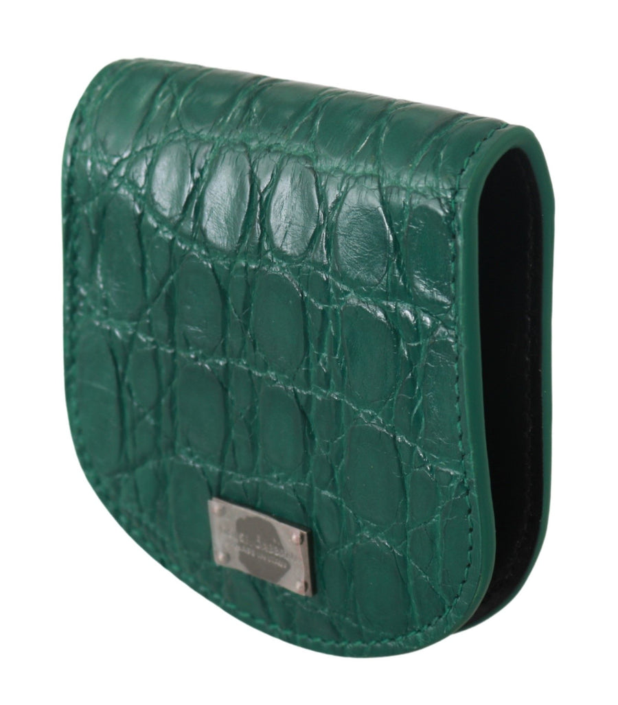 Dolce & Gabbana 100% Exotic skin card case in green