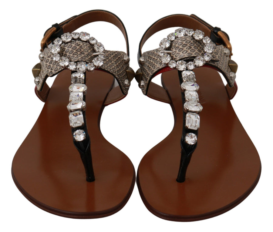 Dolce & Gabbana 40% Leather sandals in brown