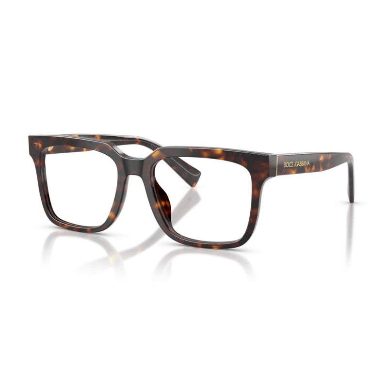 Dolce & Gabbana DG3422502 Acetate eyeglasses in brown