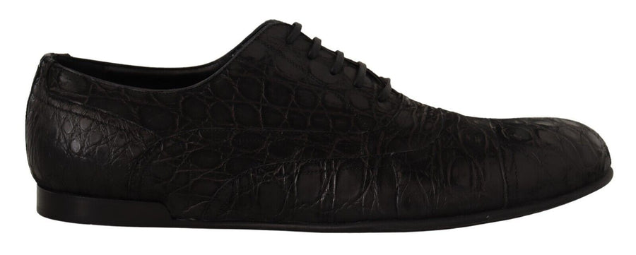Dolce & Gabbana 100% Caiman Leather oxford in black