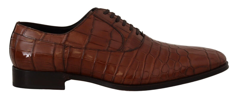 Dolce & Gabbana 100% exotic skin Crocodile leather derby shoes in brown