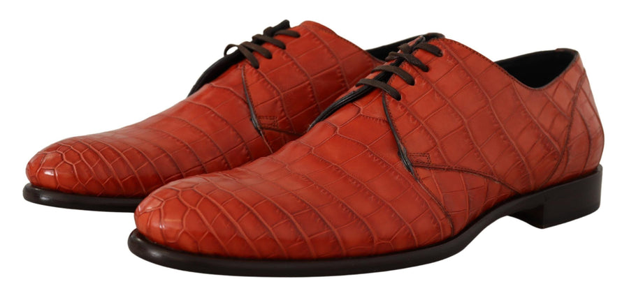 Dolce & Gabbana 100% exotic skin Croc leather derby shoe in orange