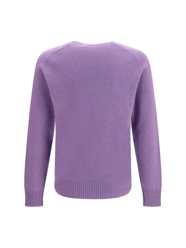 Crewneck Sweater Aubergine Cashmere (capra Hircus)