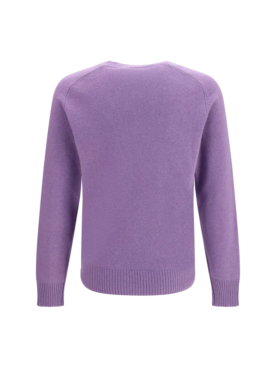 Crewneck Sweater Aubergine Cashmere (capra Hircus)