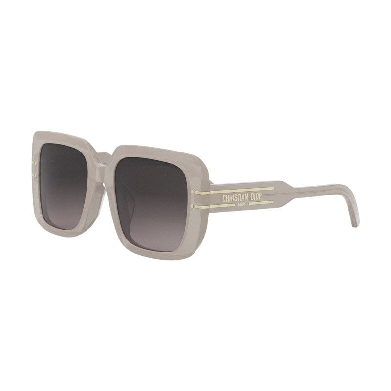 , Frame And Lens Brown Sunglasses