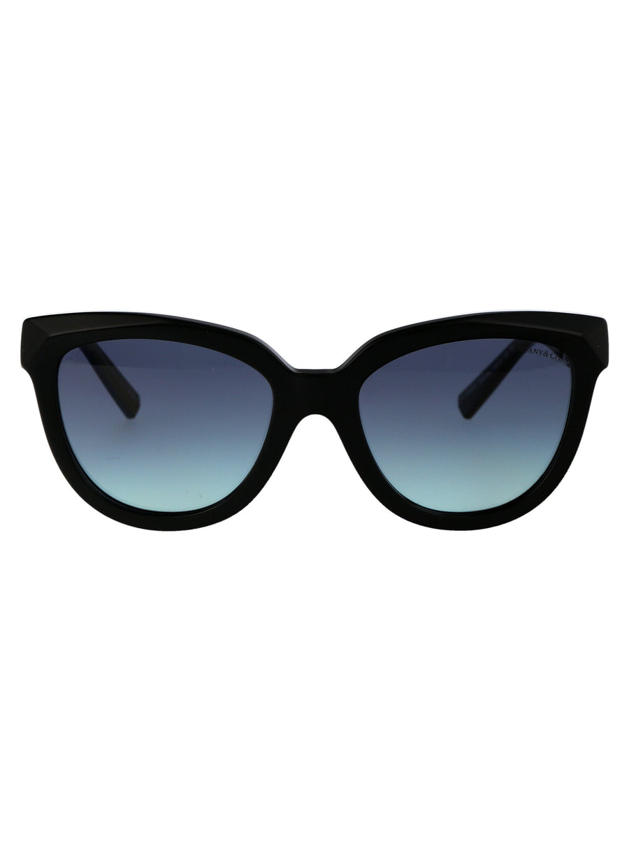 Sunglasses Black Acetate