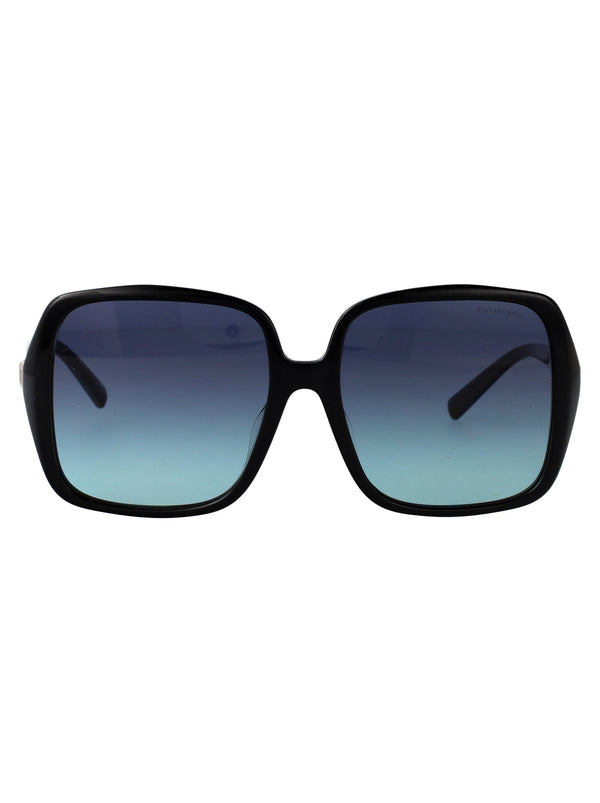 Sunglasses Black Acetate