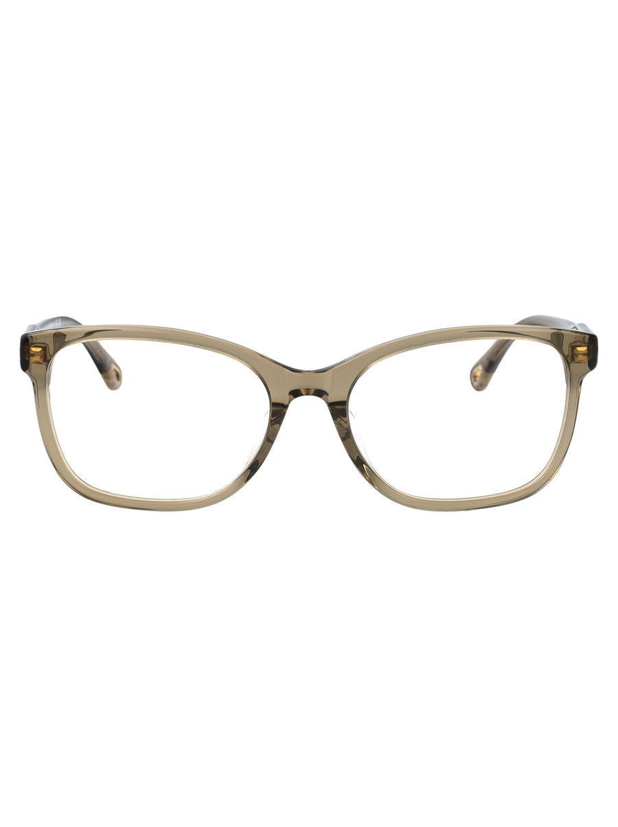 Sunglasses Green-Transparent Acetate Green/green/transparent Glasses & Frames