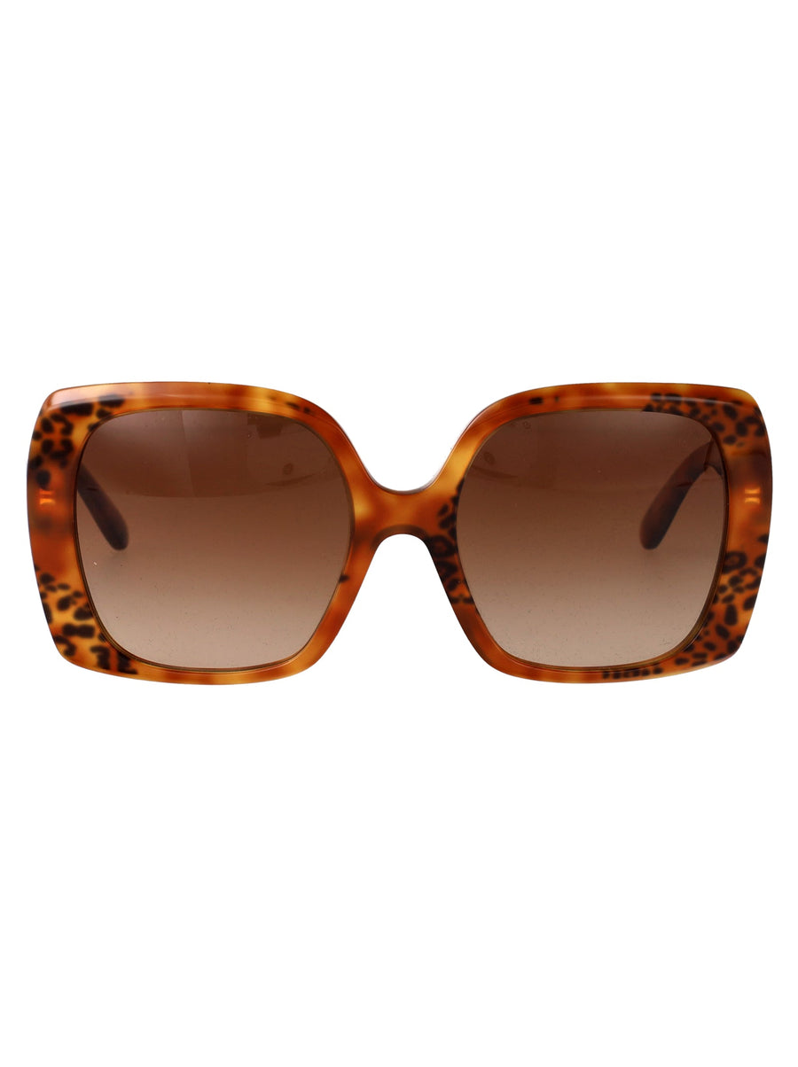 Sunglasses 0dg4475 Havana Leopard Brown Acetate