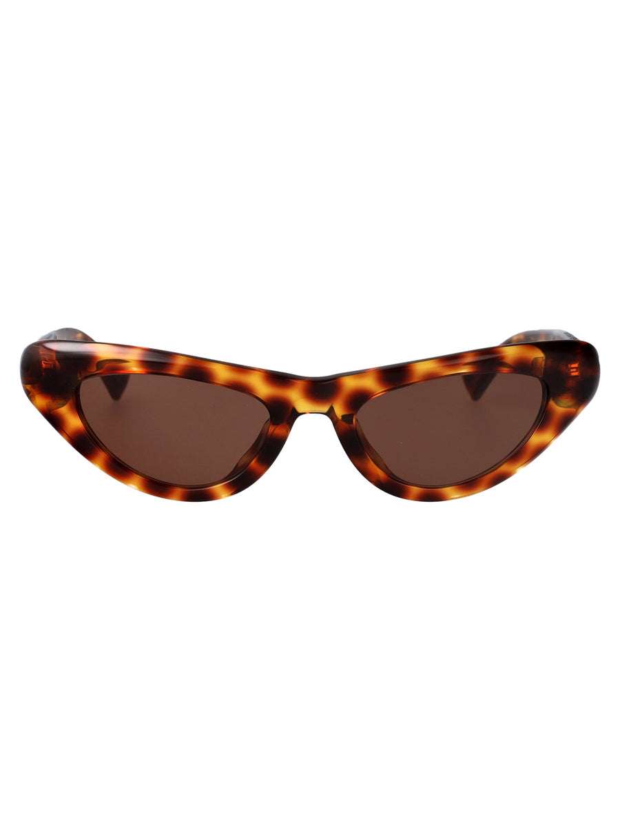 Sunglasses Bv1450s Havana Acetate