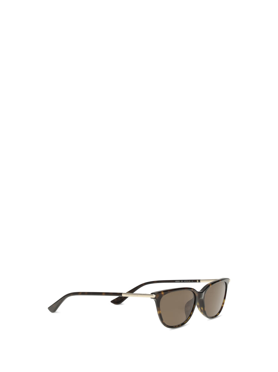 Cat-Eye Sunglasses Tortoiseshell Acetate Brown