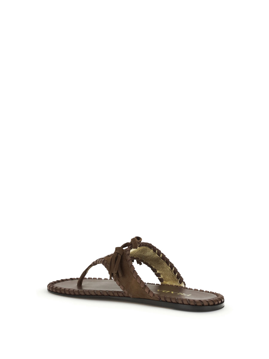 Thong Sandals Cacao Calf Leather