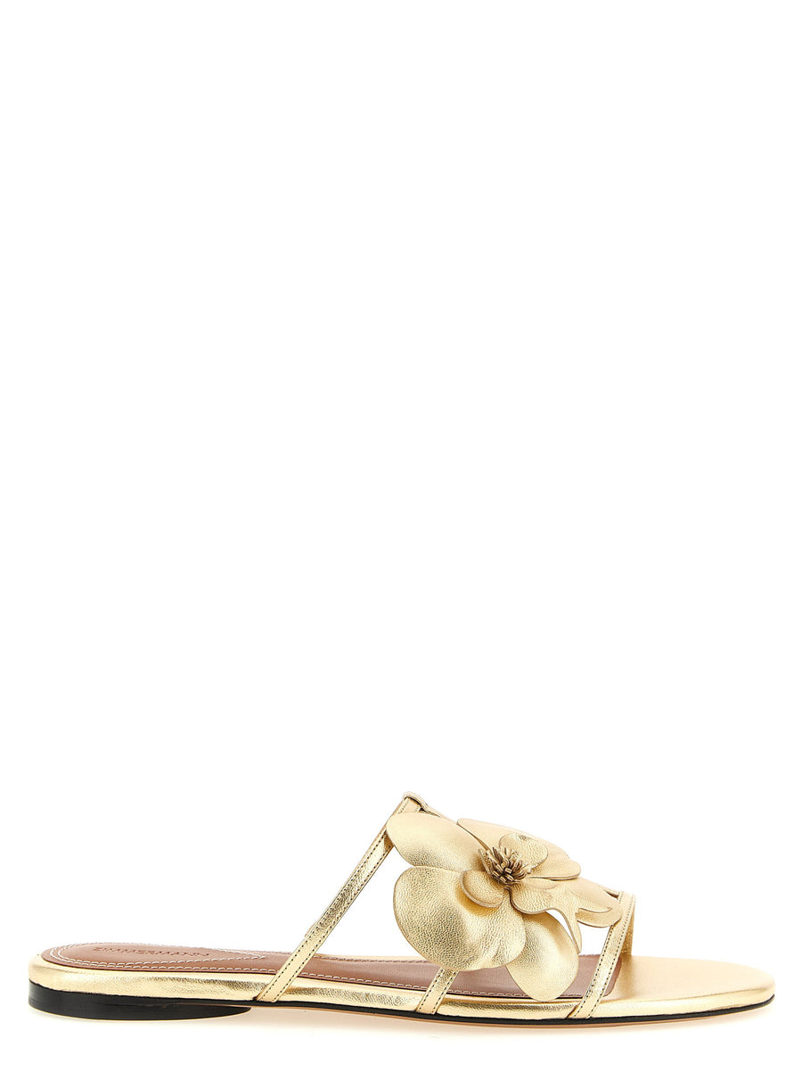 Zimmermann Orchid Slides — Gold