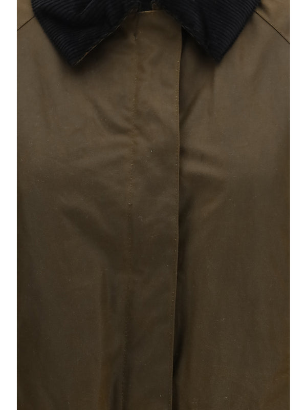 Jacket With Velvet Collar — Brown Cotton