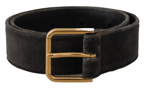 Dolce & Gabbana Velvet belt in brown