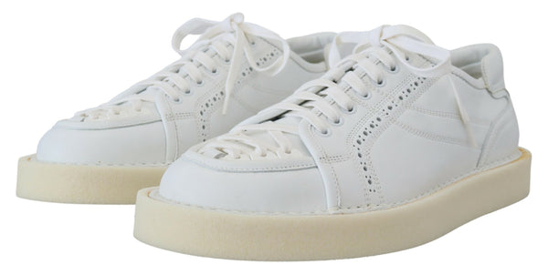 Dolce & Gabbana 100% Leather sneakers in white