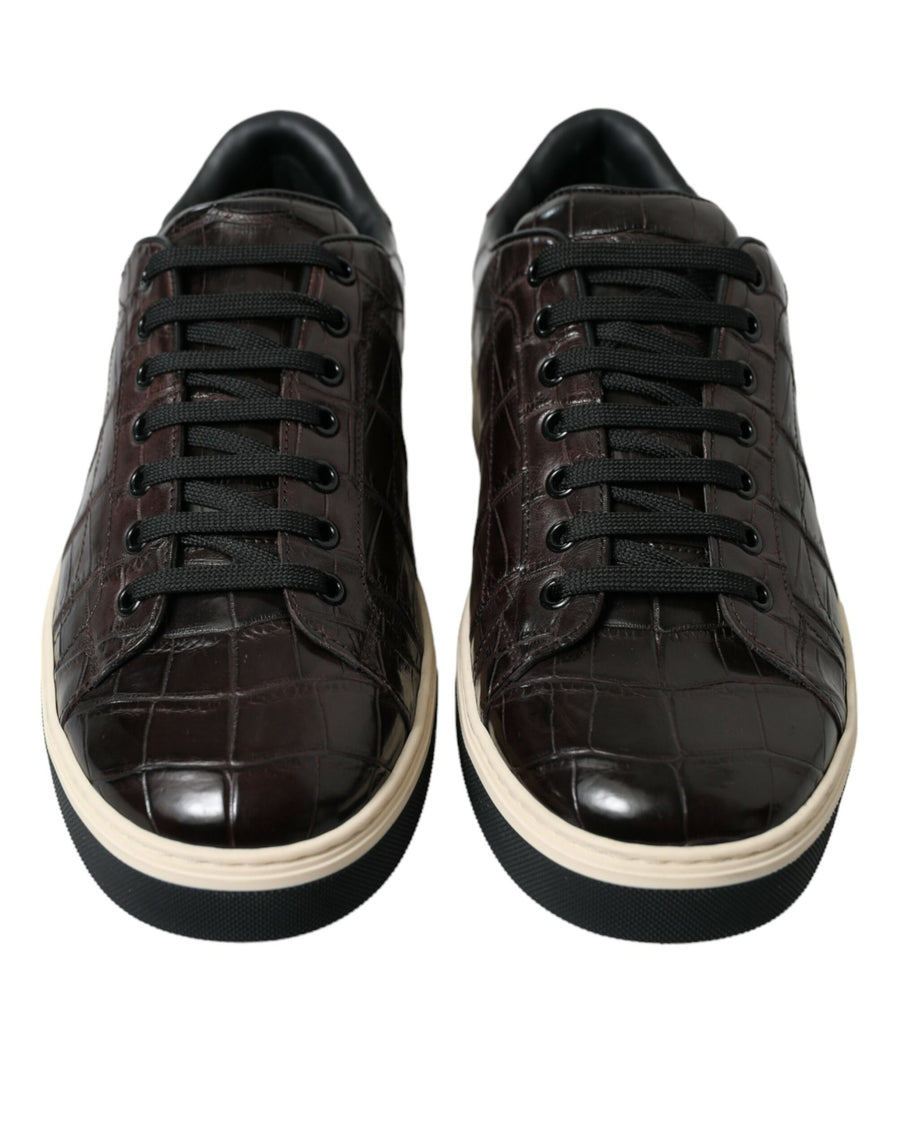 Dolce & Gabbana 100% Crocodile Leather sneaker in brown