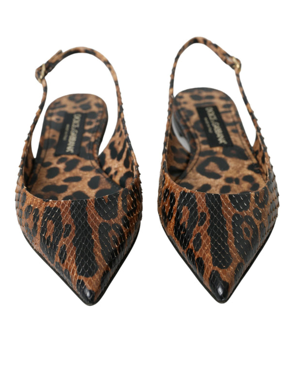 Dolce & Gabbana 100% Python Skin Leather slingback flat in brown