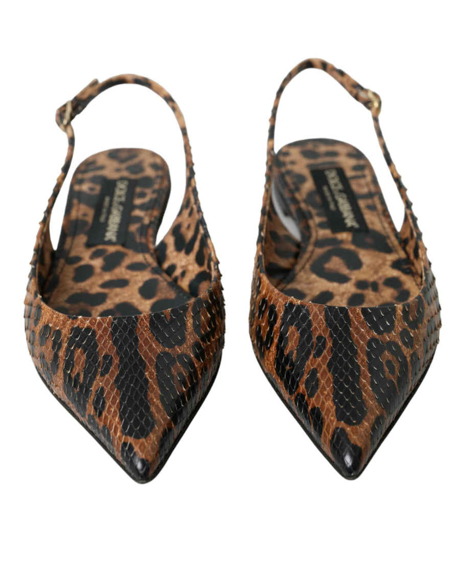 Dolce & Gabbana 100% Python Skin Leather slingback flat in brown