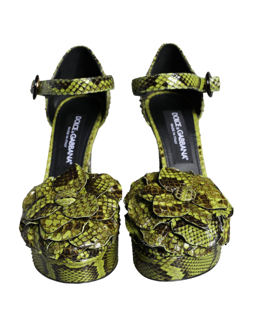 Dolce & Gabbana 100% Python Leather heel sandal in green