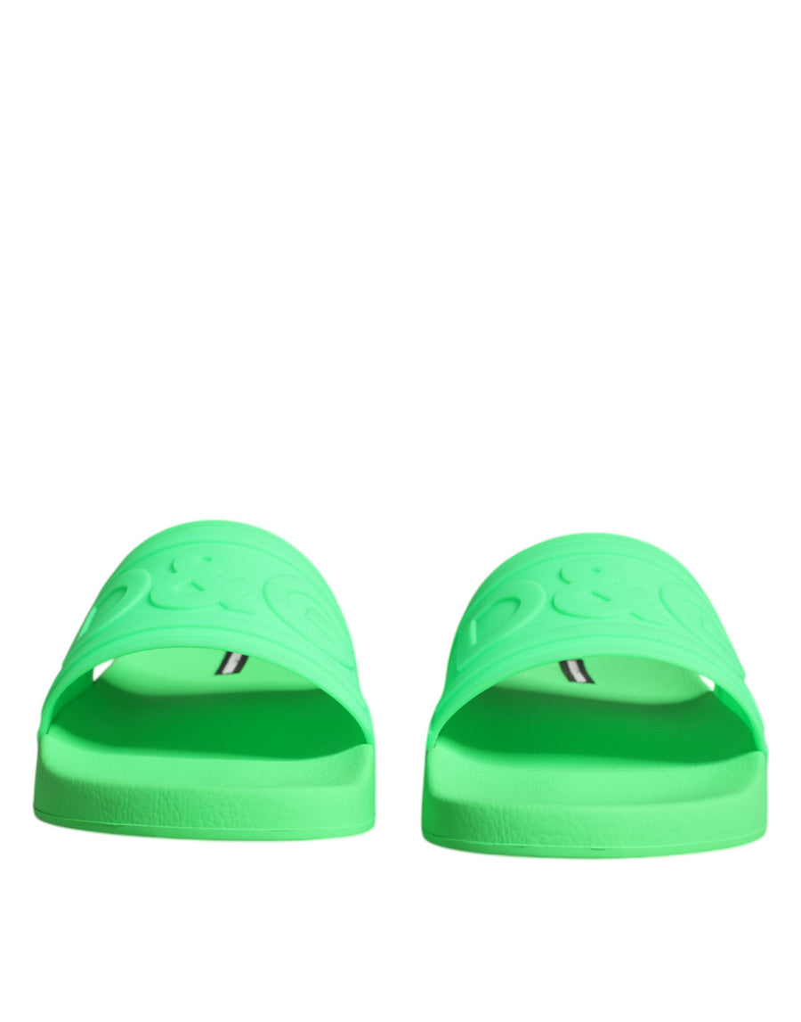 Dolce & Gabbana 80% Calf Leather sandals in green