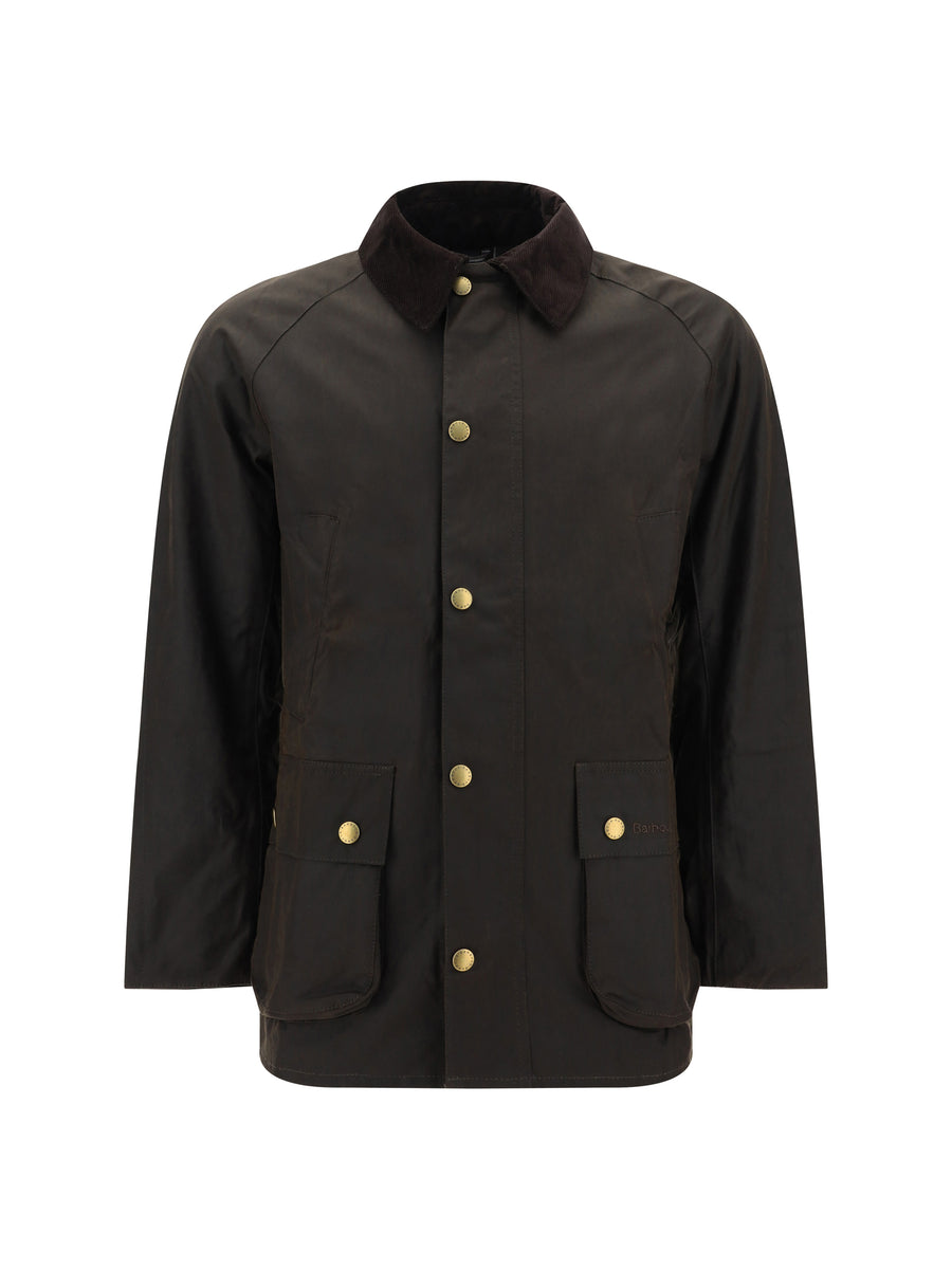 Jacket Ashby Olive Cotton