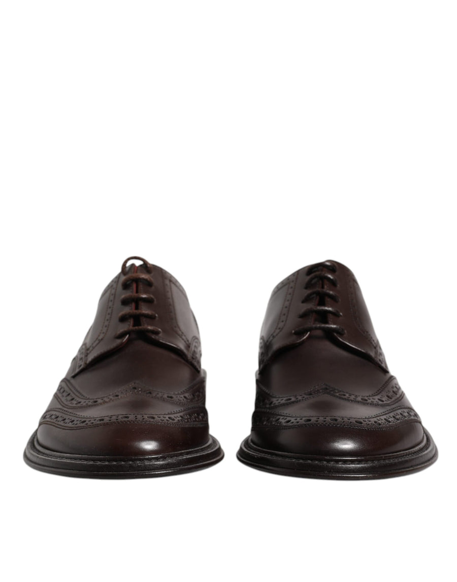 Dolce & Gabbana 100% Calf Leather oxford in brown