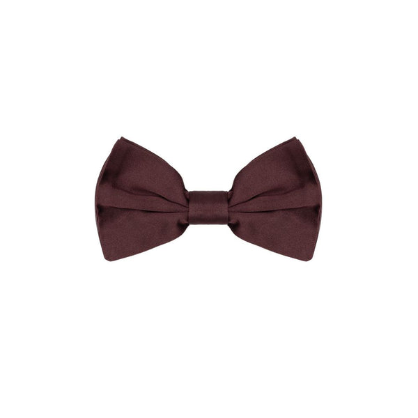 Dolce & Gabbana Silk bow tie in burgundy