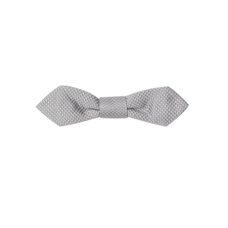 Dolce & Gabbana Silk bow tie in gray