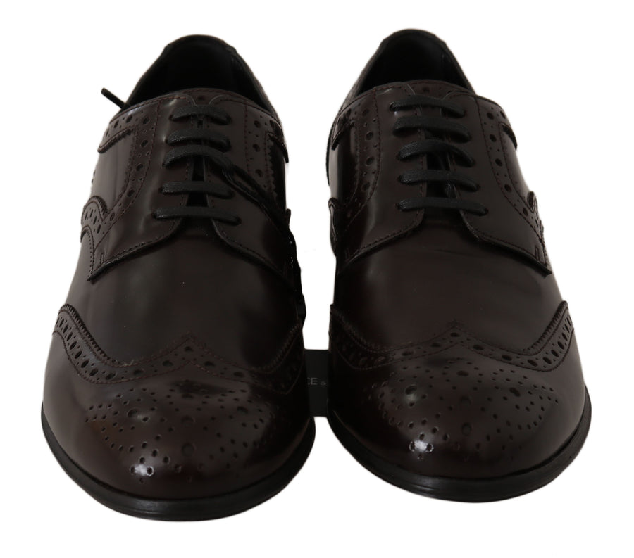 Dolce & Gabbana 100% Leather; sole: Leather + Rubber oxford in brown