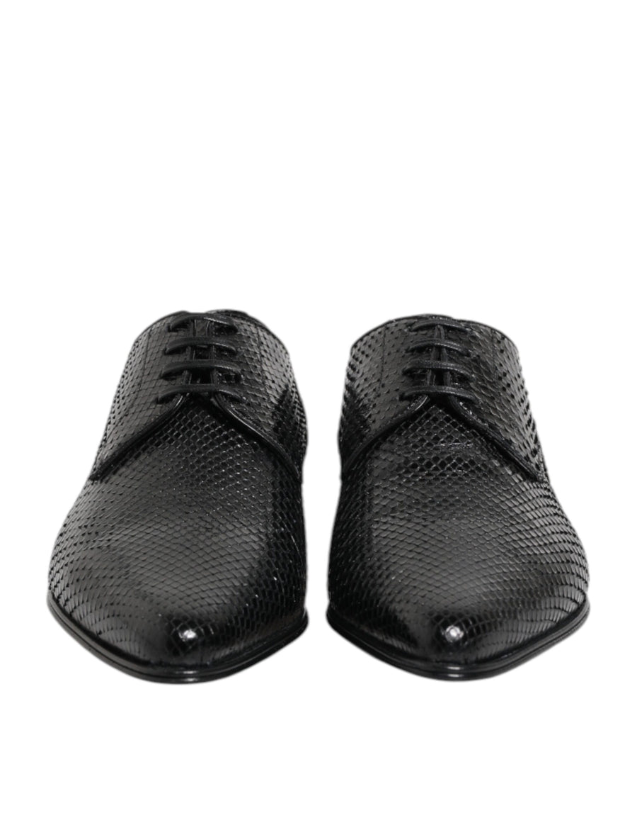 Dolce & Gabbana 100% Python Leather derby shoe in black