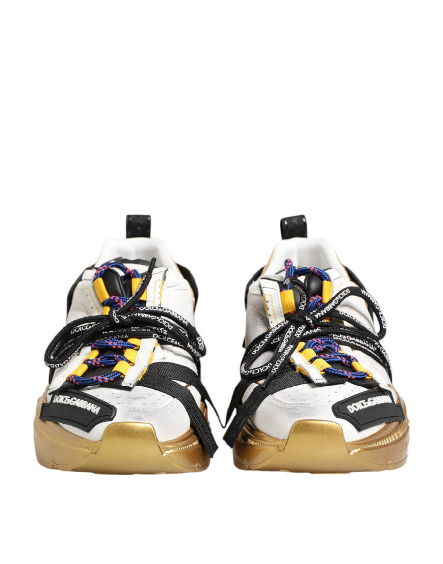 Dolce & Gabbana 70% Calfskin Leather sneaker in multicolor