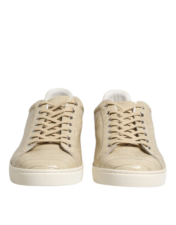 Dolce & Gabbana 95% Crocodile sneaker in beige