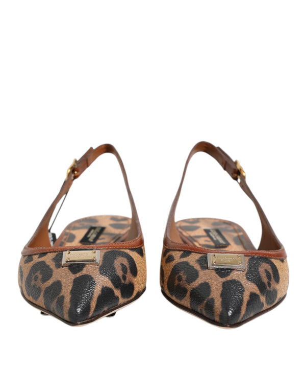 Dolce & Gabbana 47% Cotton flat in brown