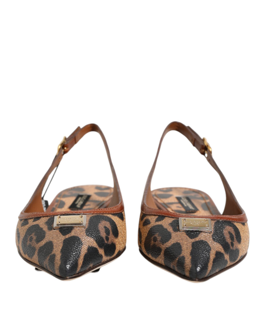 Dolce & Gabbana 47% Cotton flat in brown