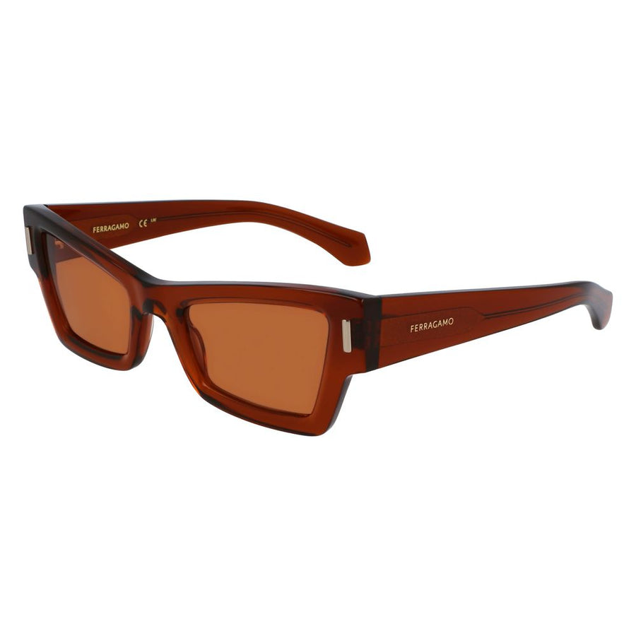 Ferragamo FESF2006S232AC Acetate sunglasses in brown