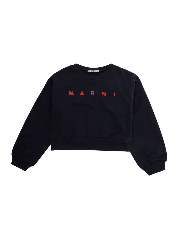 Crewneck Sweatshirt Blue Cotton Hoods & Sweatshirts