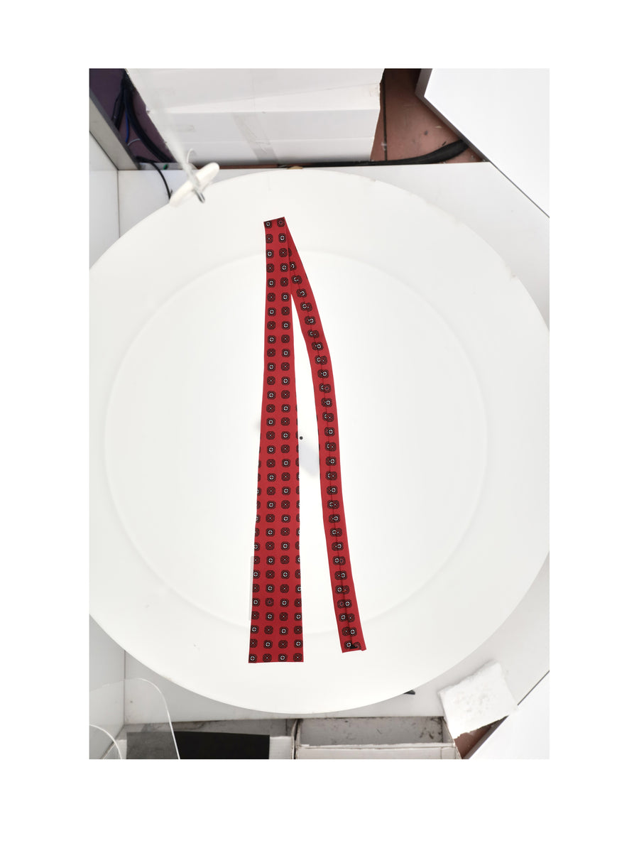 Tie Silk Red Ties & Bow