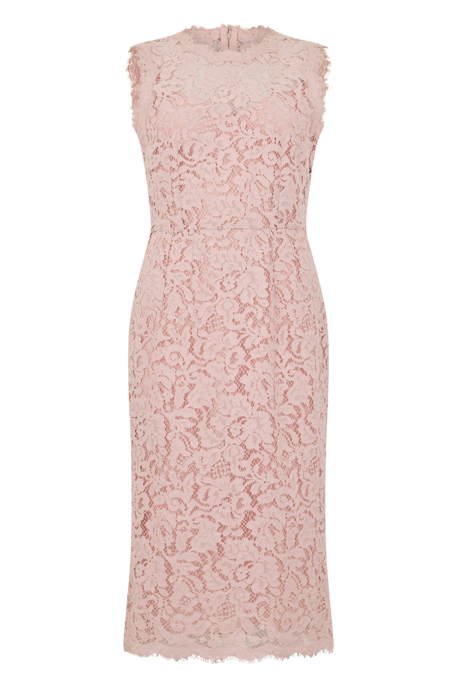 Midi Dress Pink Lace Cotton