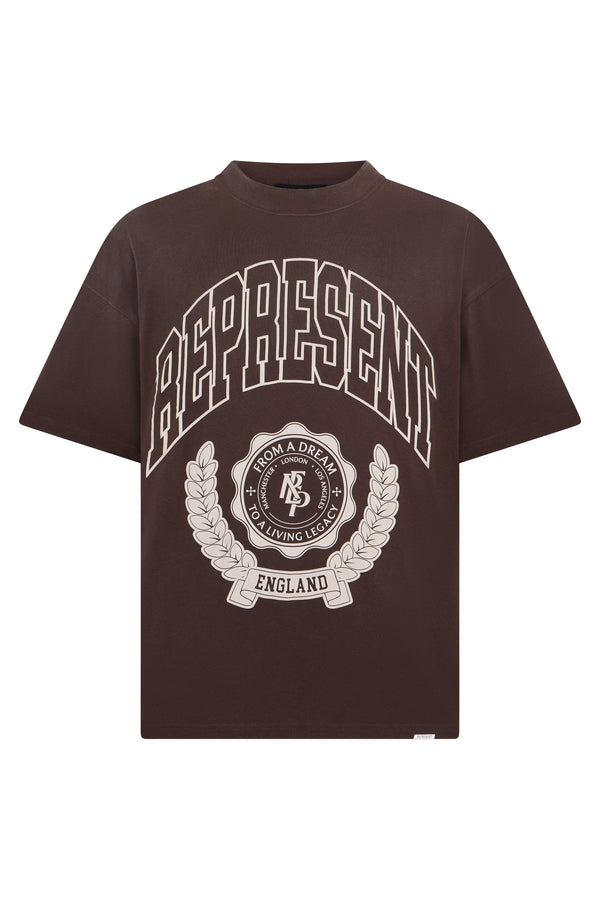 T-Shirt With Graphic Print, Brown Cotton T-shirts