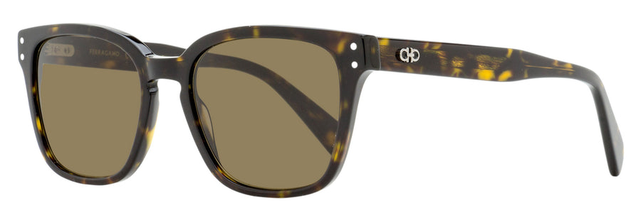 Ferragamo SF1040SCP Acetate sunglasses in tortoise