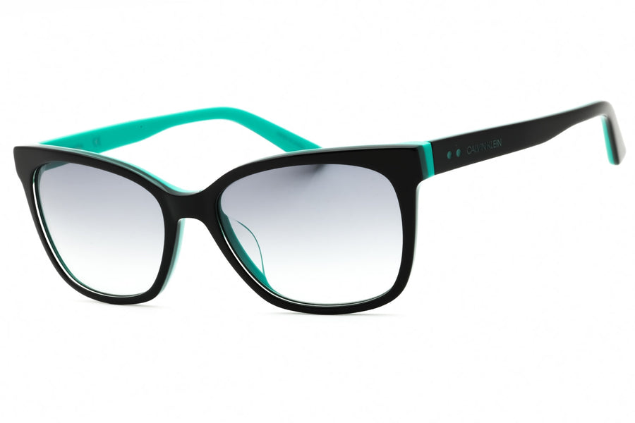 Calvin Klein Ck19503sg Sunglasses Black