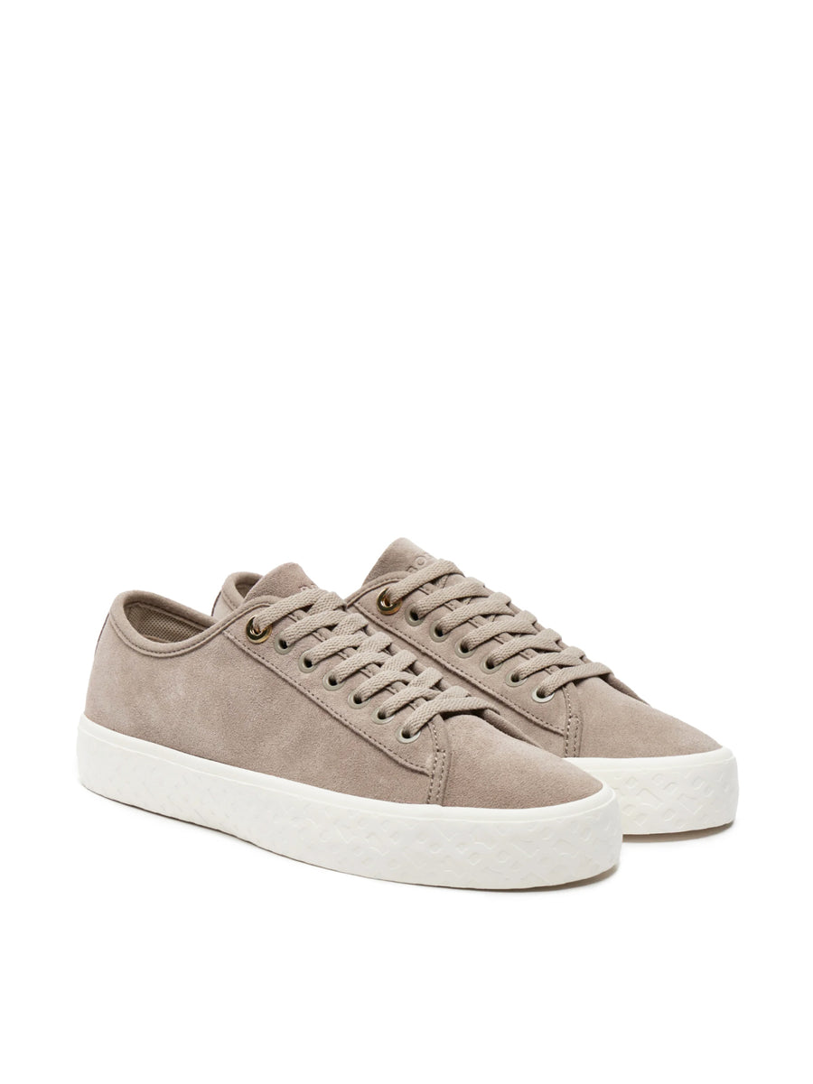 Hugo Boss Aiden Tennis Low-Top Sneaker — Beige
