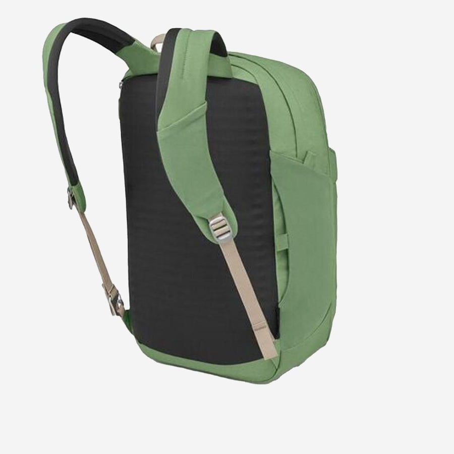 Arcane Xl Daypack Green Nylon Backpacks