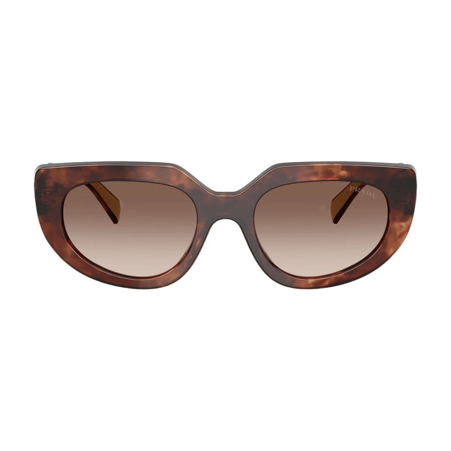 0pr D02s Sunglasses - Prada Acetate Brown Accessories /