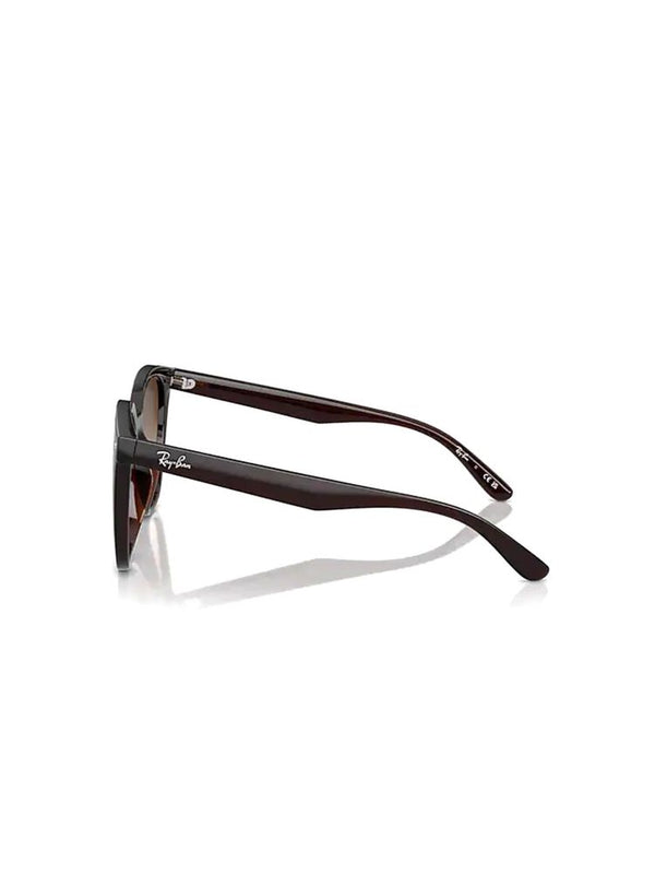 Ray-Ban Sunglasses Transparent Brown Metal Eyewear /