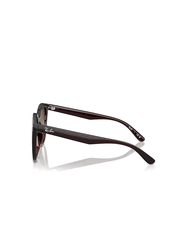 Ray-Ban Sunglasses Transparent Brown Metal Eyewear /