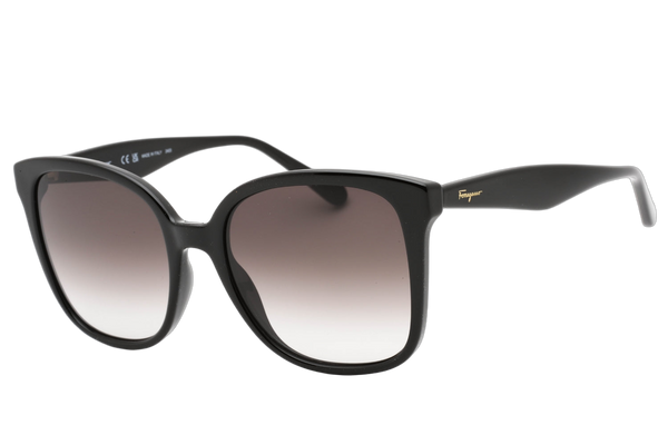 Ferragamo SF1072S240 sunglasses in black